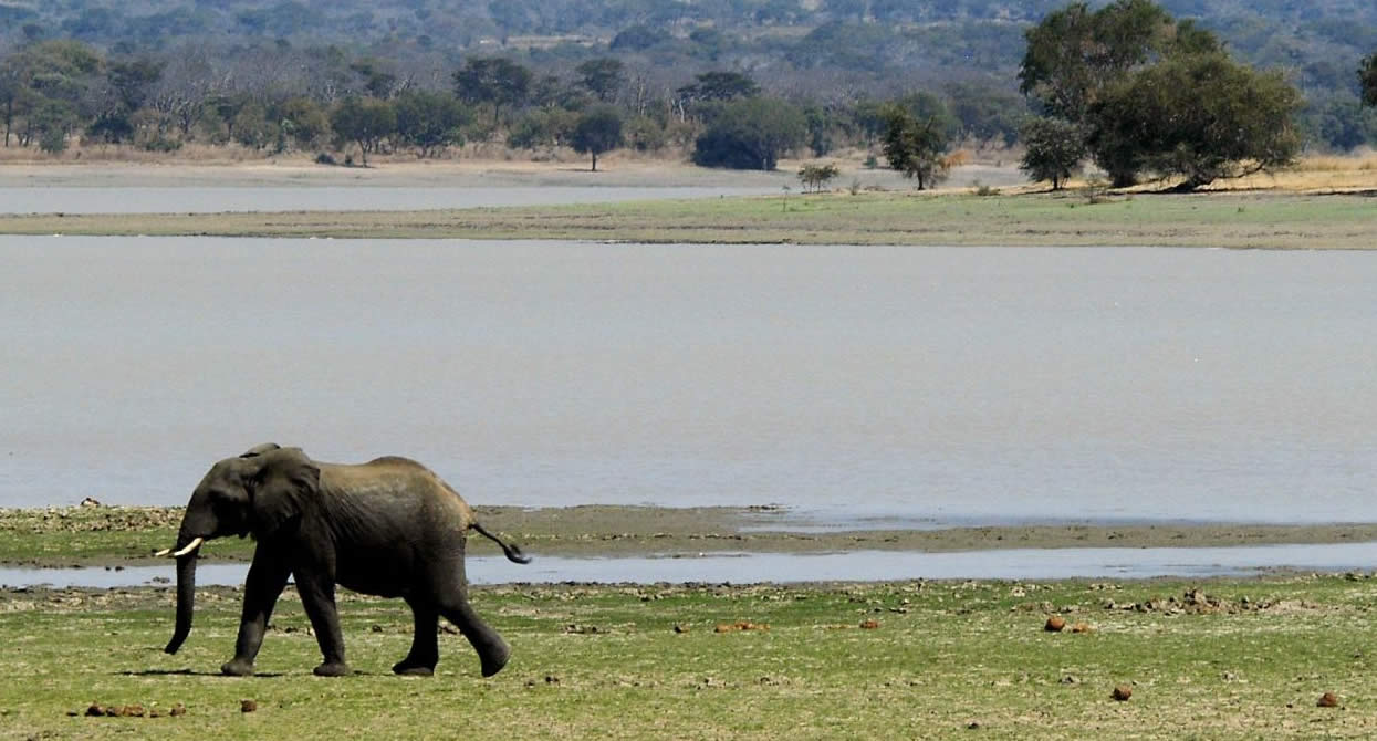 Vwaza Marsh Game Reserve