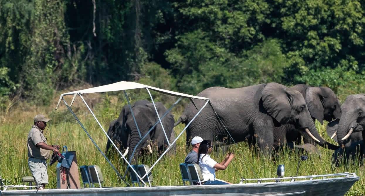 Liwonde National Park